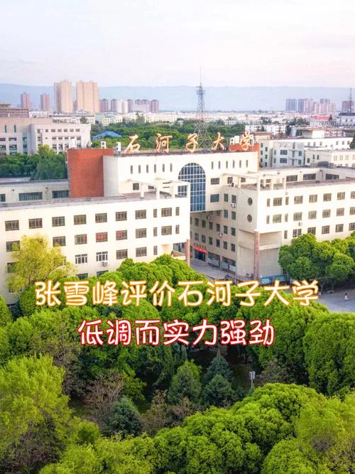 设计类考研石河子大学-考研设计类石河子大学