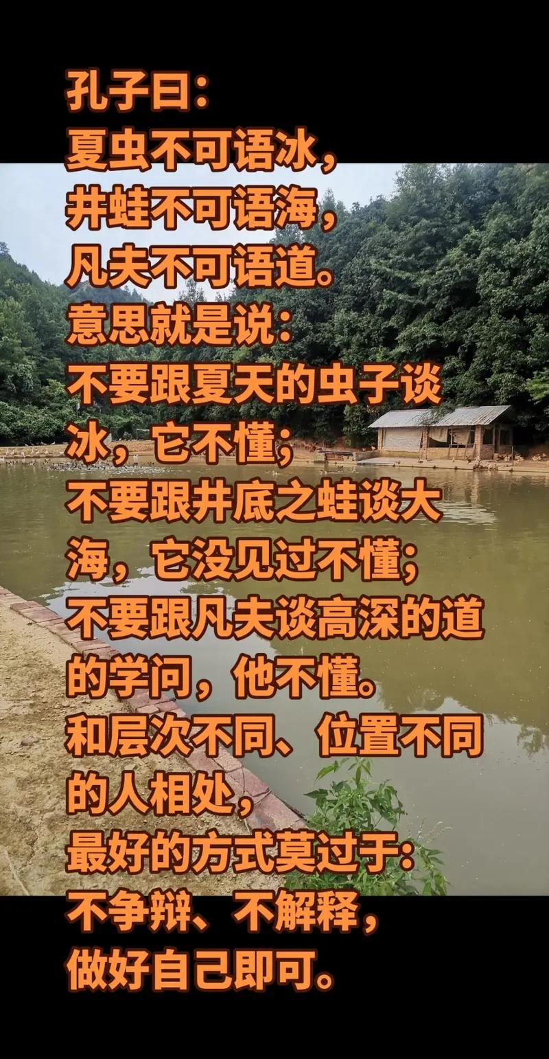 夏不可语冰的下一句_2