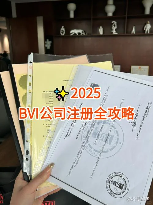 bvi公司如何查册-bvi 公司如何查册