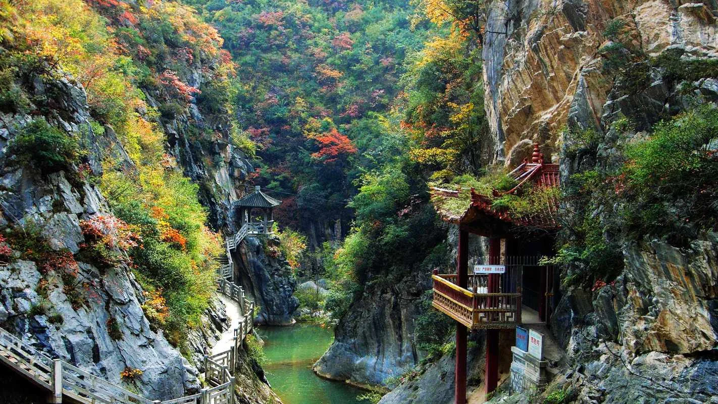 陇南有什么景点_1