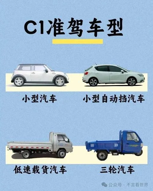 驾驶证分怎么查不了_2