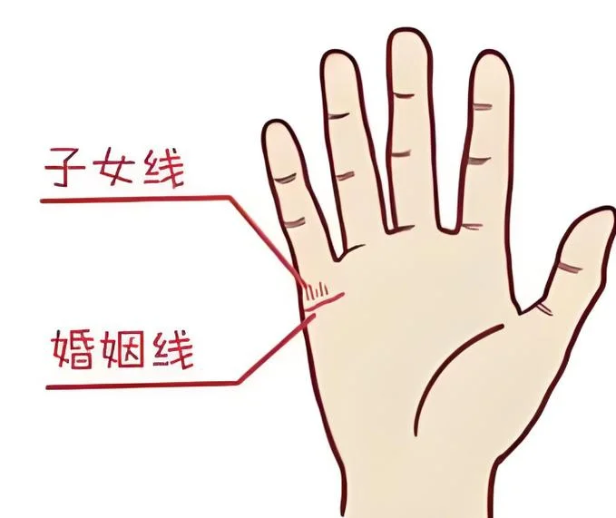算命算子女_2