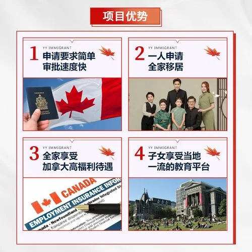 移民加拿大条件_2