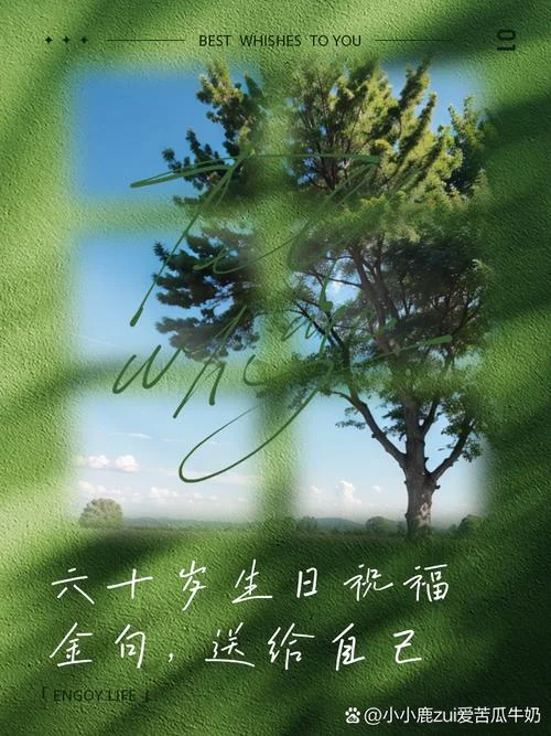 六十岁后的感悟_1