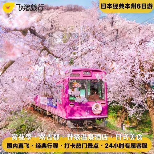 日本本州跟团6日游-日本本州 6 日游