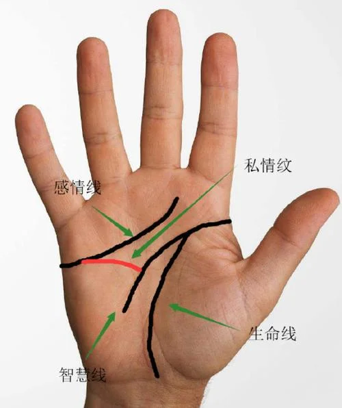 手相纹路不清晰感情-纹路不清显 感情易波折