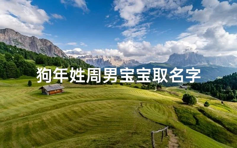 周姓宝宝起名大全2020_2