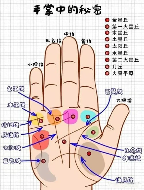 手相图解大全 左手_1
