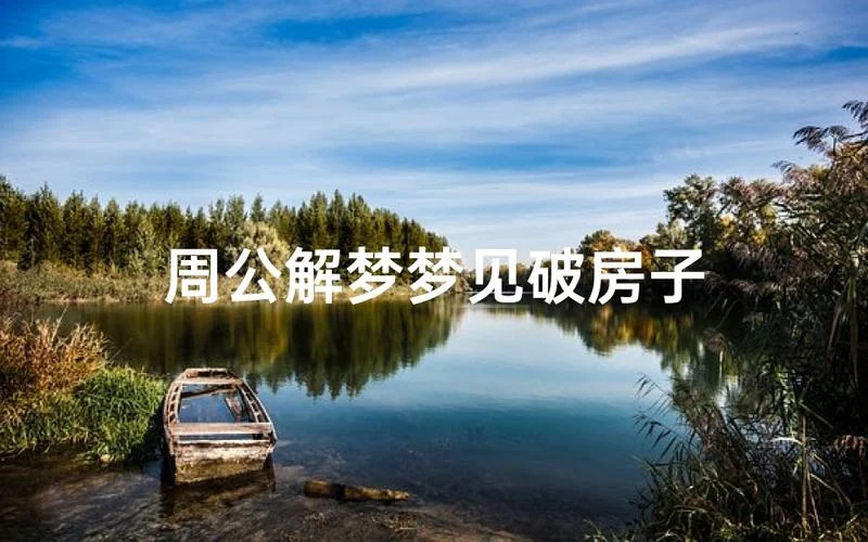 梦见看新房子_1