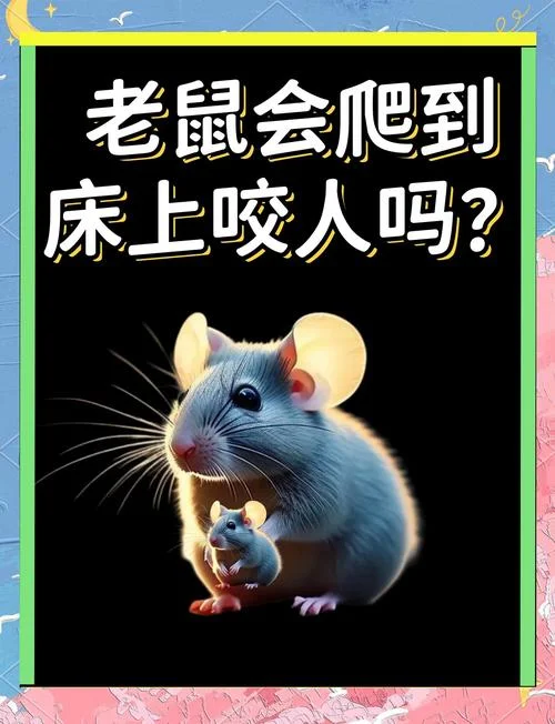 梦见老鼠上身被吓醒了_2