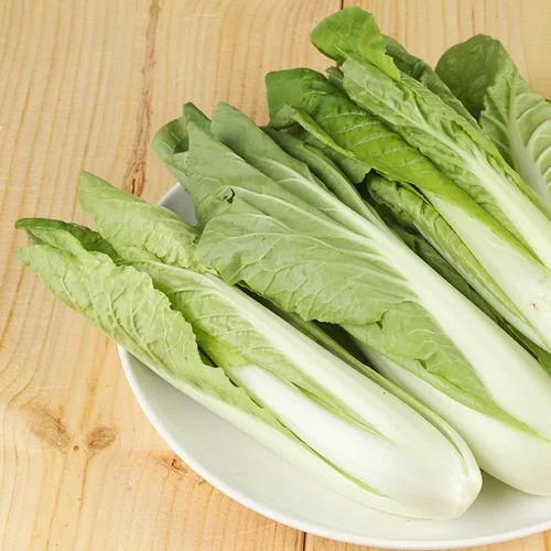 小版大白菜叫什么_2