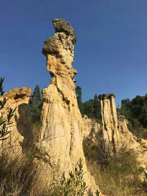 太阳城是谁写的_1