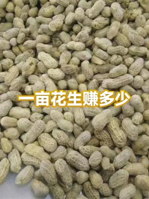 花生一亩用多少种子_1