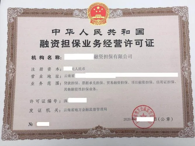 金融公司牌照什么条件_1