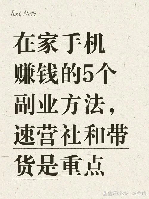 挣钱项目可以在家做_1