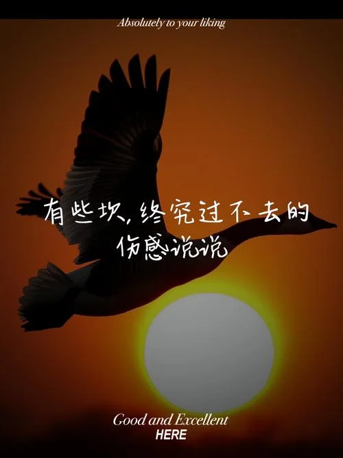 伤感说说简短_1