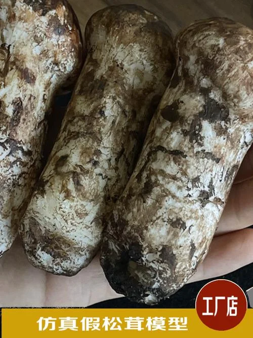 假松茸叫什么_2