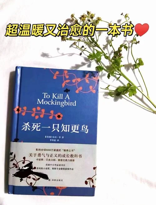 人生道理书籍_1