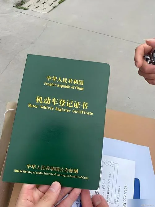 怎么查自己的行驶证_1