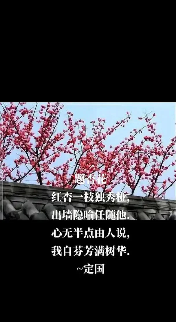 一枝独秀上一句_2