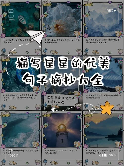 夜空中最亮的星感悟句子_2