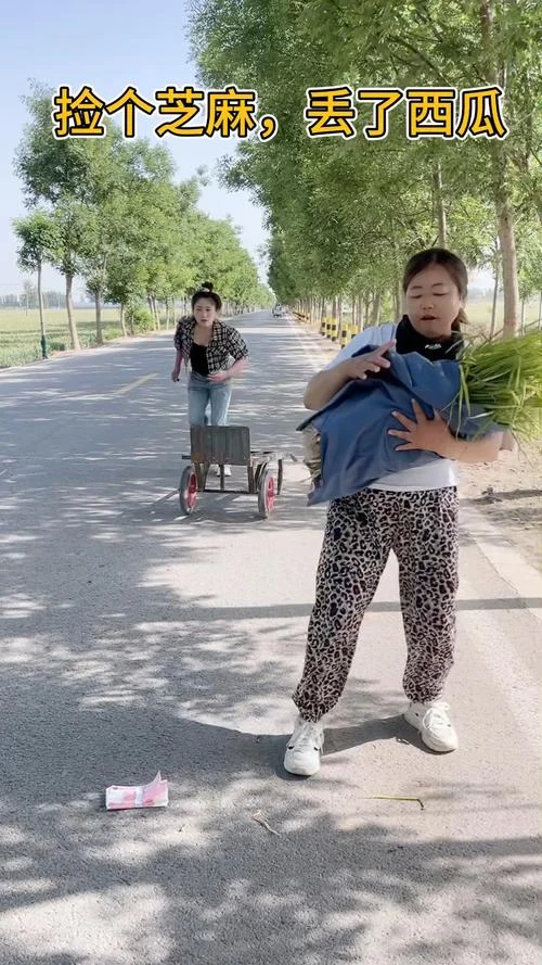 丢了西瓜下一句_1