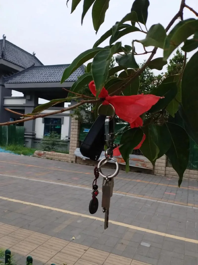 梦到捡钥匙_2