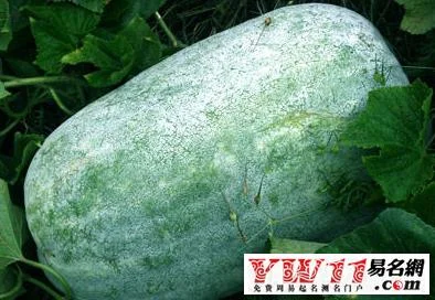 梦见吃瓜什么意思-梦见吃瓜寓意吃瓜