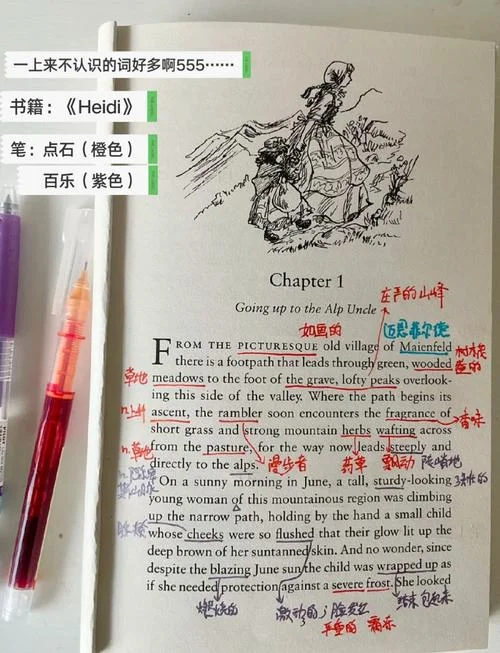 小海蒂作者简介40字_1