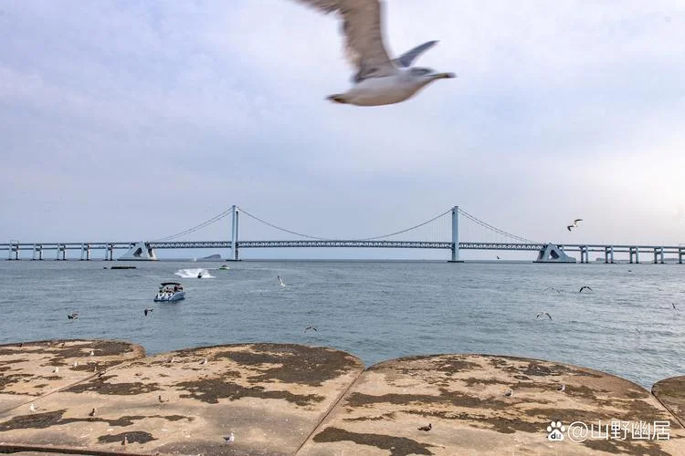 去大连旅游必去景点_2