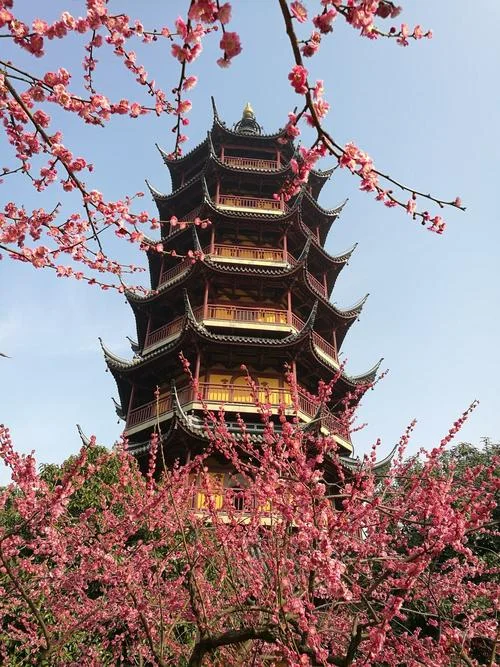 常州自驾游景点_1