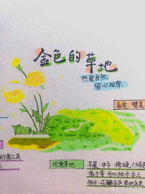 金色的草地读后感-