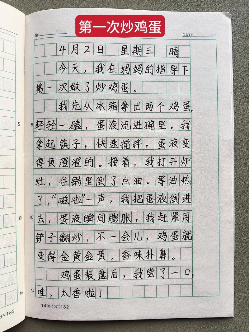 我的日记本说明文_1