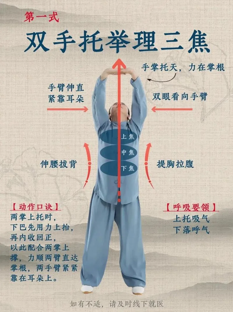 怎么学老年健身操_1
