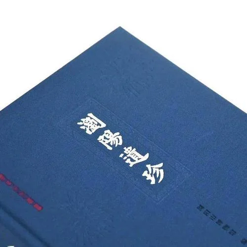 高卢雄鸡法兰西/大话世界历史丛书_2