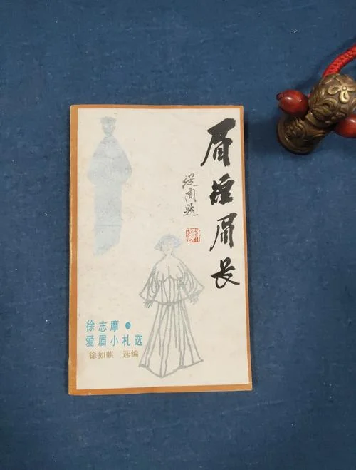 徐志摩爱眉小札是写谁_2