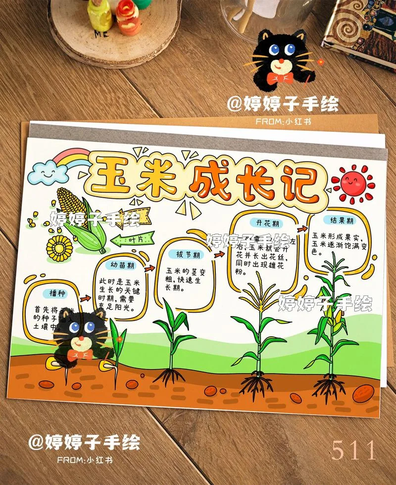 关于玉米的资料介绍-玉米资料介绍 关于玉米的资料介绍-玉米资料介绍