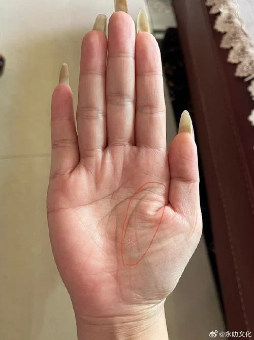 泉州哪里看手相比较准_1