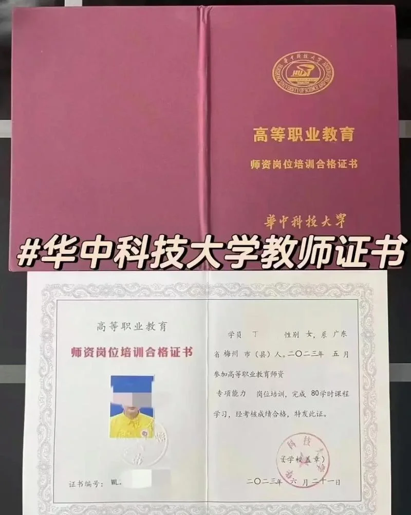 syb师资证书查询-师资证书查询