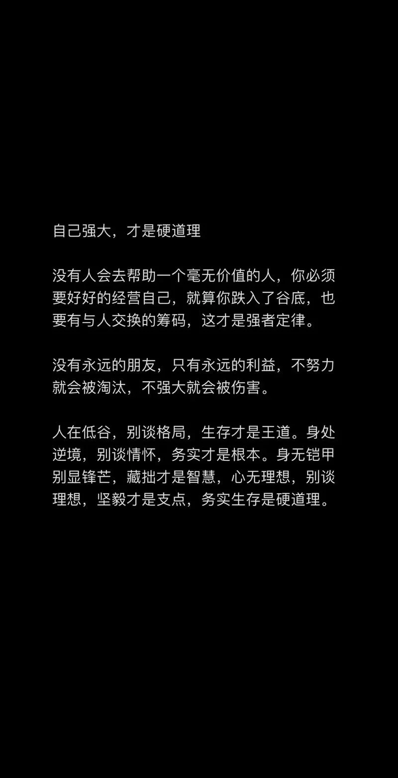 硬道理什么意思_1