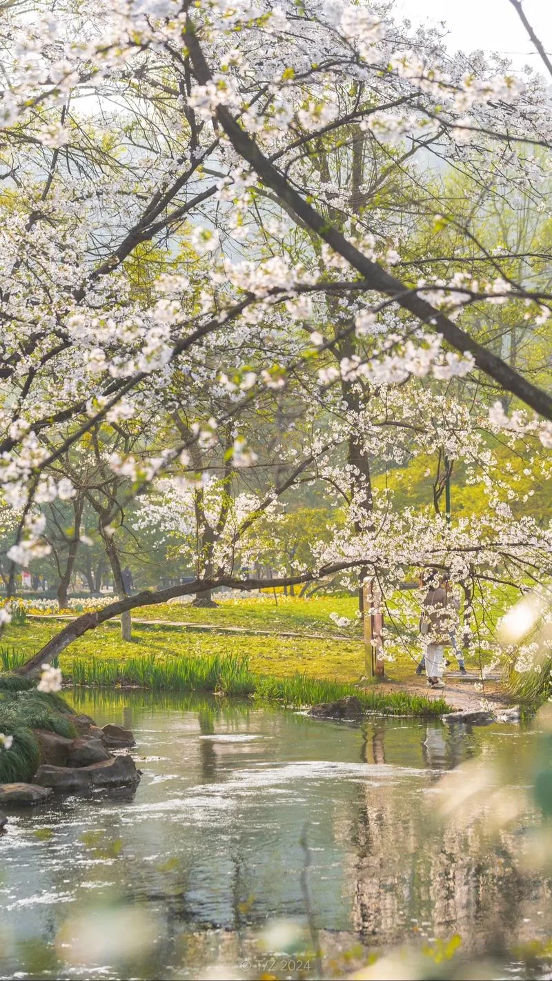杭州太子湾几月花开_1