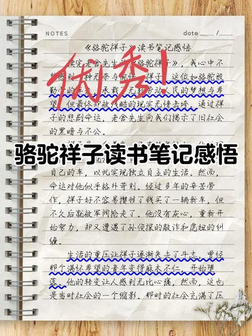 书籍读书感悟怎么写-书籍读书感悟怎么写