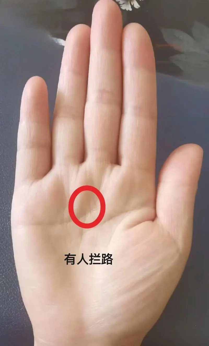 越老越有钱手相-老越钱手相