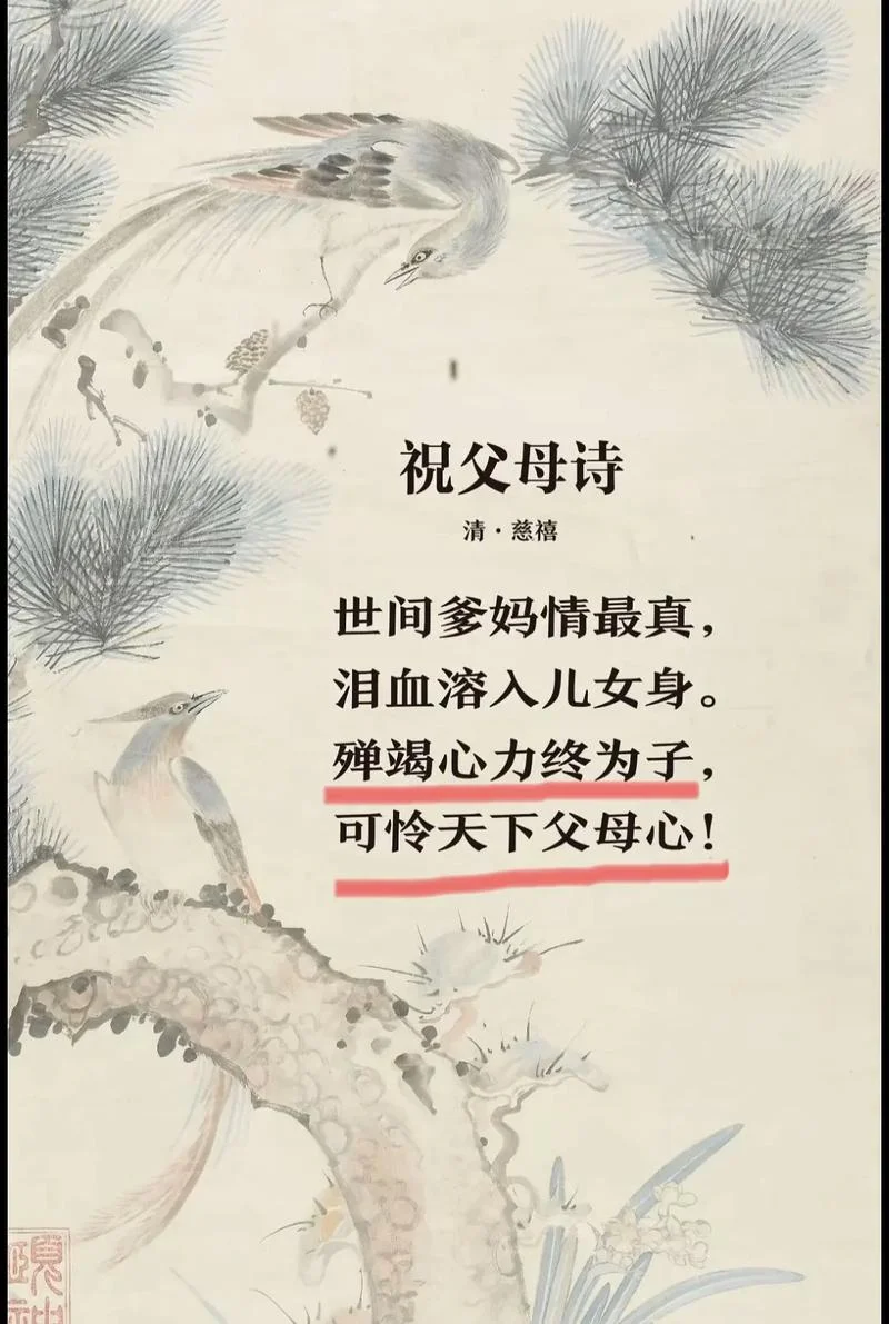 可怜天下父母心的感悟_2