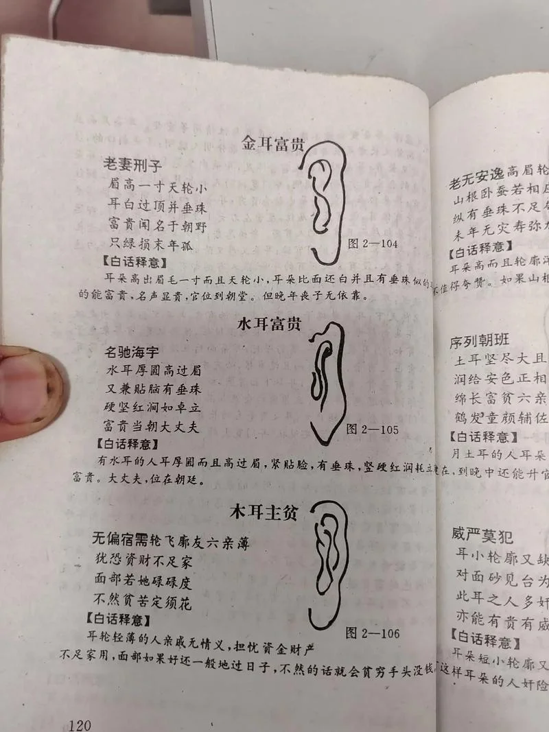 反耳面相_1