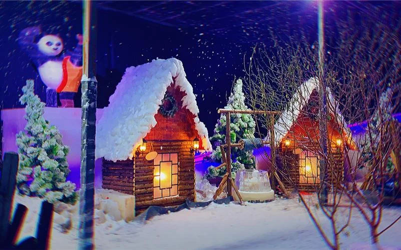 夏天梦见下雪_2