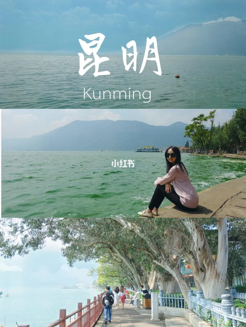 广东东莞到云南昆明多少公里-东莞至昆明公里数
