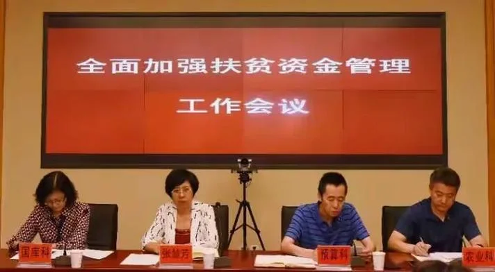 扶贫项目资金监管_1