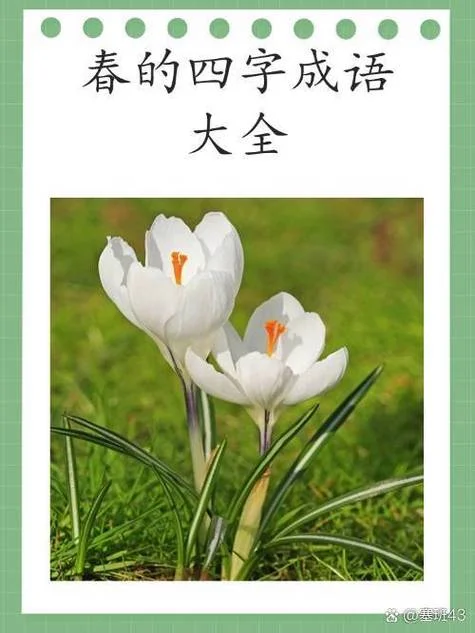 春风得意下一句是什么_1