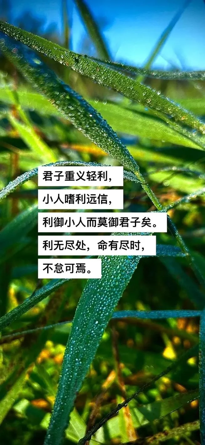小人之心下一句怎么说_1